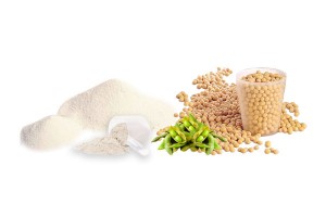 Whey Vs Soy Protein, Which is Better?
